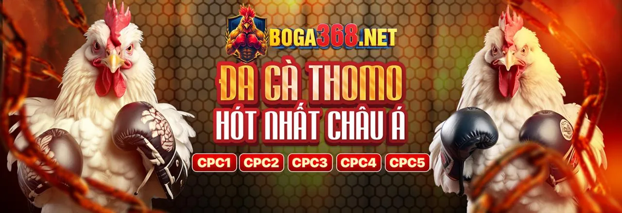 Sân đá gà trực tuyến 555win sôi động